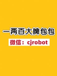 明星网红同款一两百大牌包包 工厂直销 支持退换 一件也是批发价