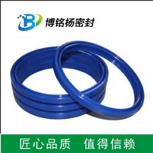 PTFE聚四氟乙烯FEP包覆密封圈