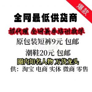 全网*大鞋服百货终端供应商，招代理教引流