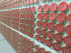 爆款 即冲小罐燕窝 工厂直供