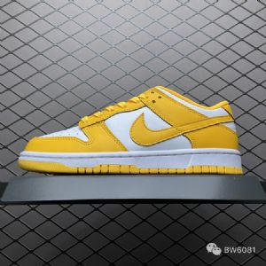 耐克Nike扣篮DUNK低帮休闲运动滑板板鞋DD1503-800