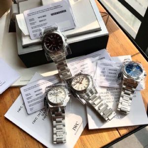 渠道出口单IWC钢款工程师系列